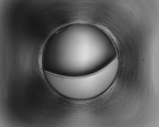 X0000088061246200705110907