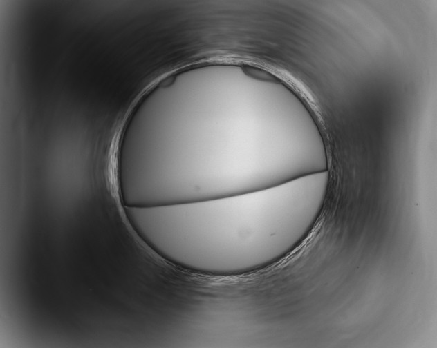 X0000088061247200705110907