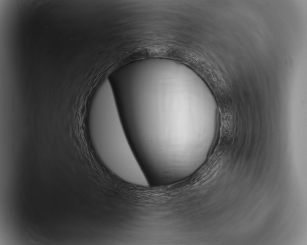 X0000088061249200705110907