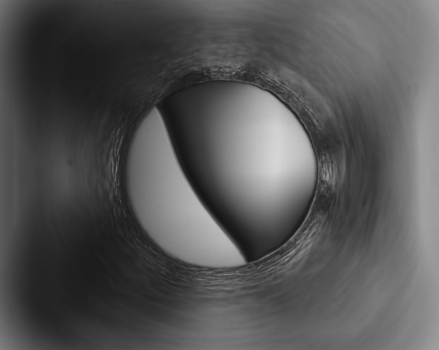 X0000088061252200705110907