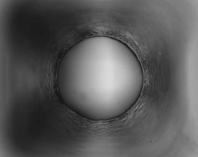 X0000088061253200705110907