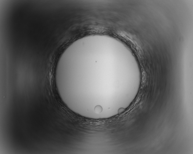 X0000088061254200705110907