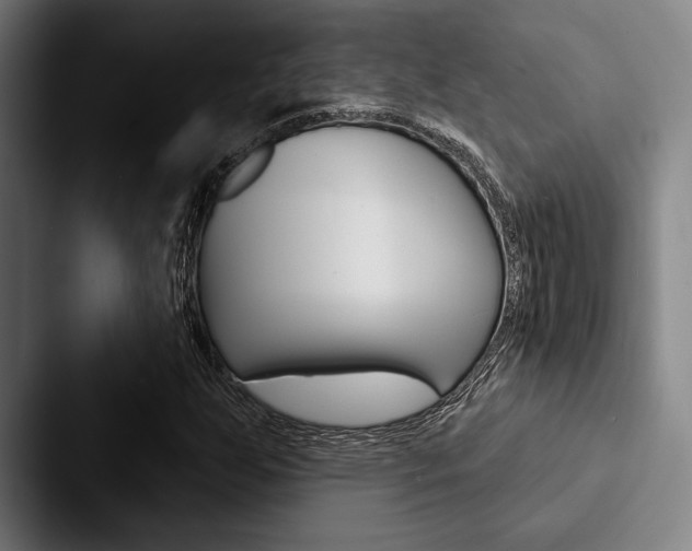 X0000088061255200705110907