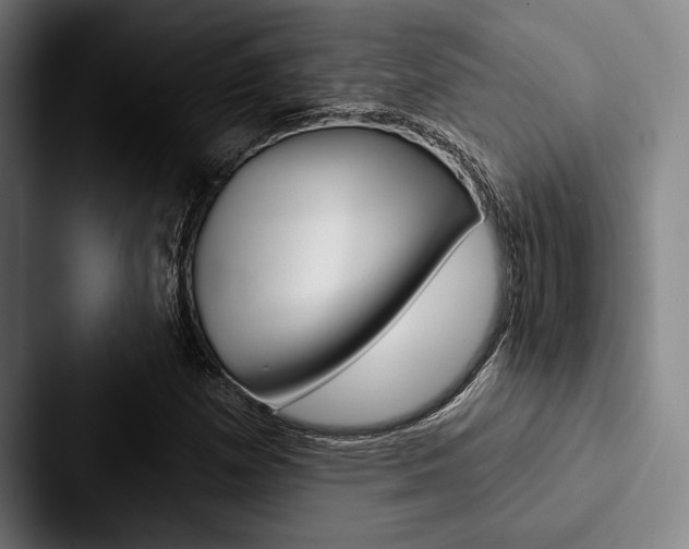 X0000088061257200705110907