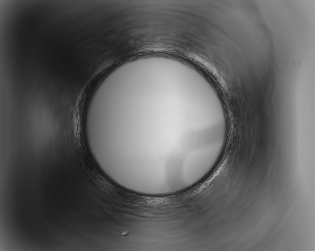 X0000088061258200705110906