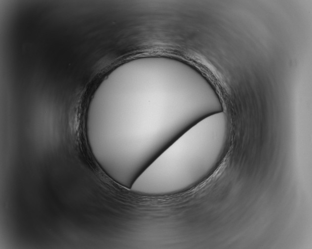 X0000088061259200705110906