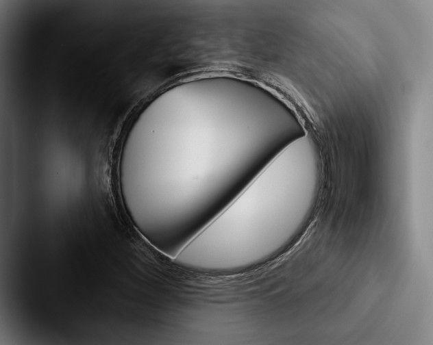 X0000088061260200705110906