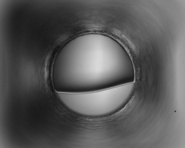 X0000088061261200705110906