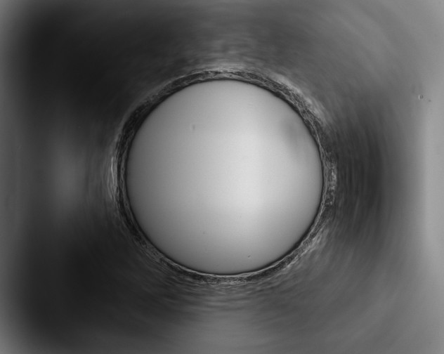 X0000088061262200705110906