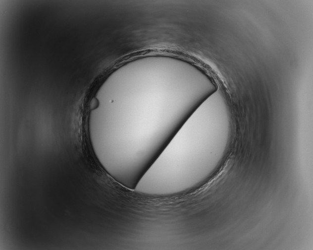X0000088061263200705110906