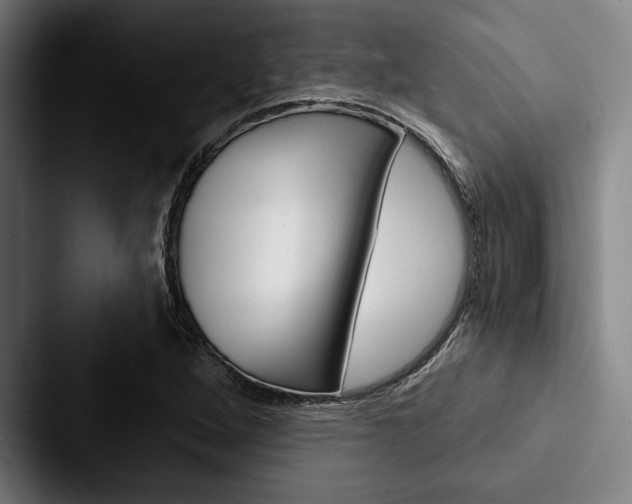 X0000088061264200705110906