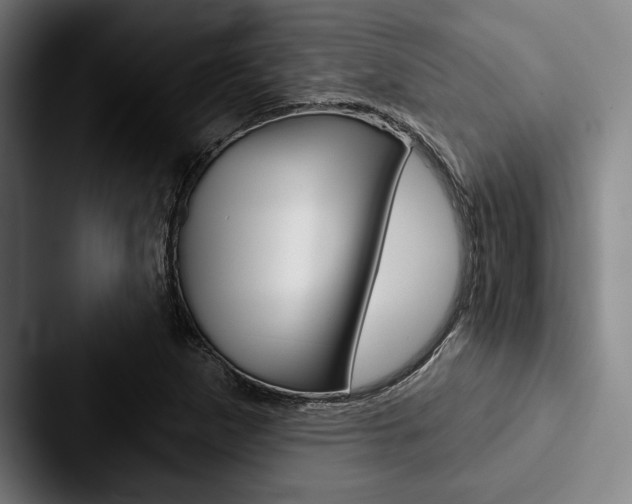 X0000088061265200705110906