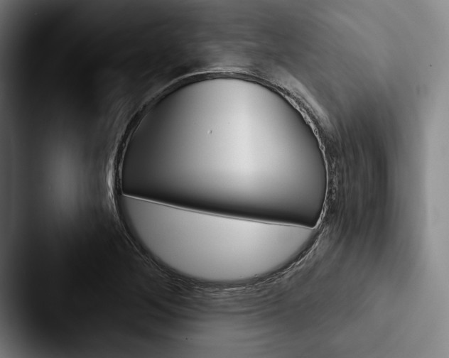 X0000088061268200705110906