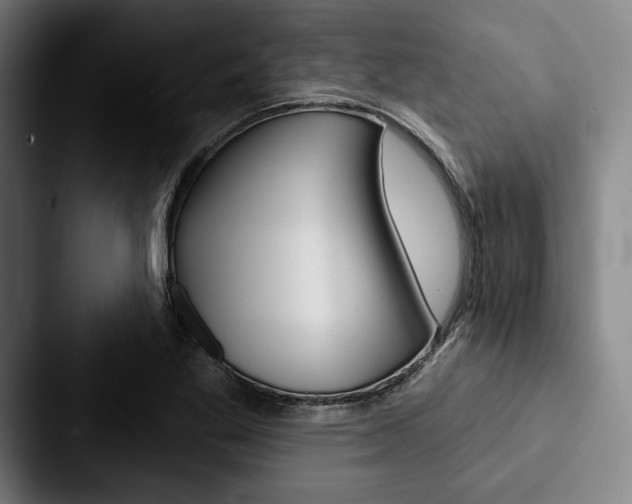 X0000088061269200705110906
