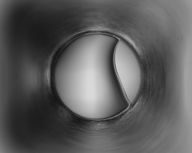 X0000088061270200705110906