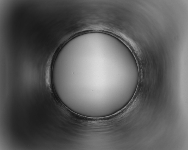 X0000088061272200705110906