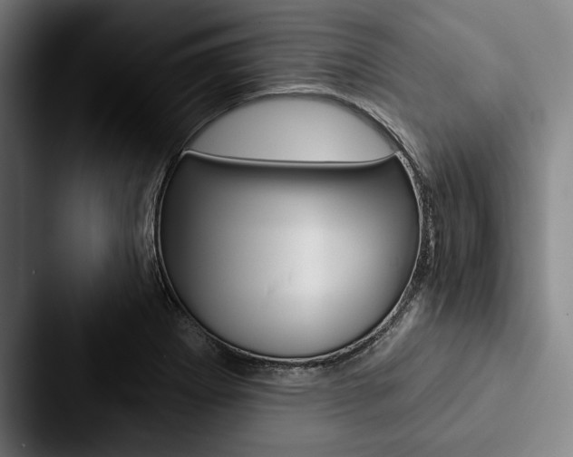 X0000088061273200705110906