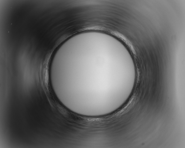 X0000088061274200705110906