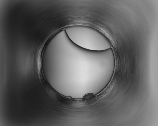 X0000088061275200705110906