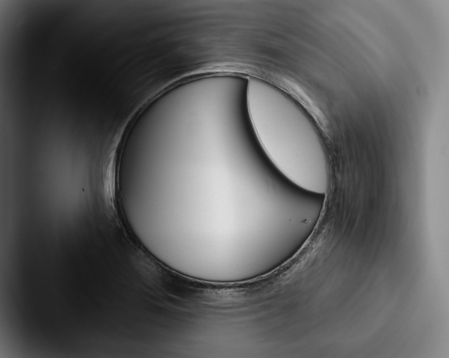 X0000088061276200705110906