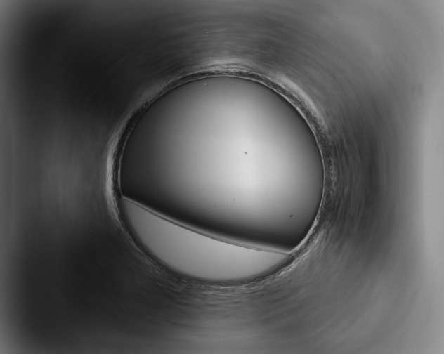 X0000088061277200705110906