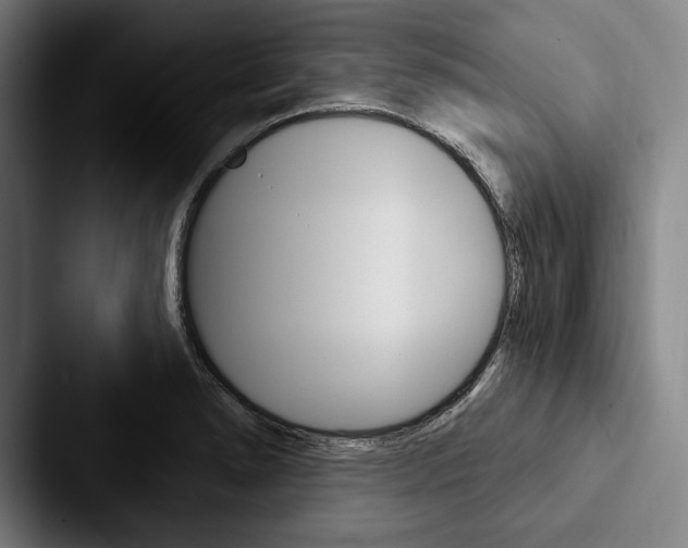 X0000088061278200705110906