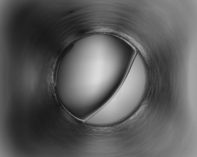 X0000088061281200705110906