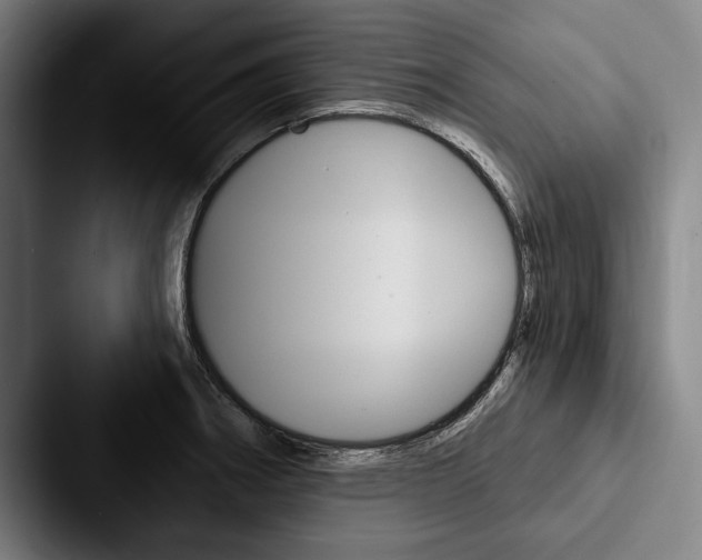X0000088061282200705110906