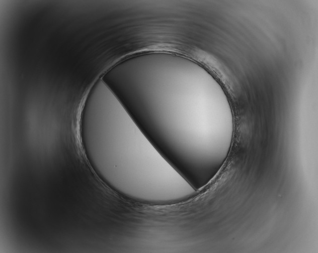 X0000088061284200705110906