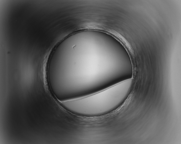 X0000088061285200705110906