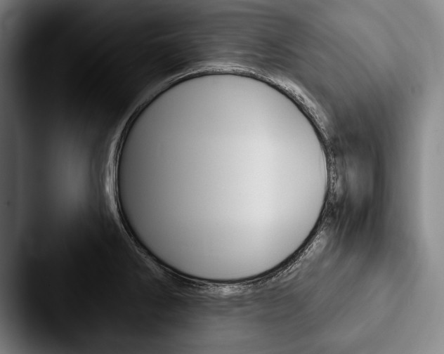 X0000088061286200705110906