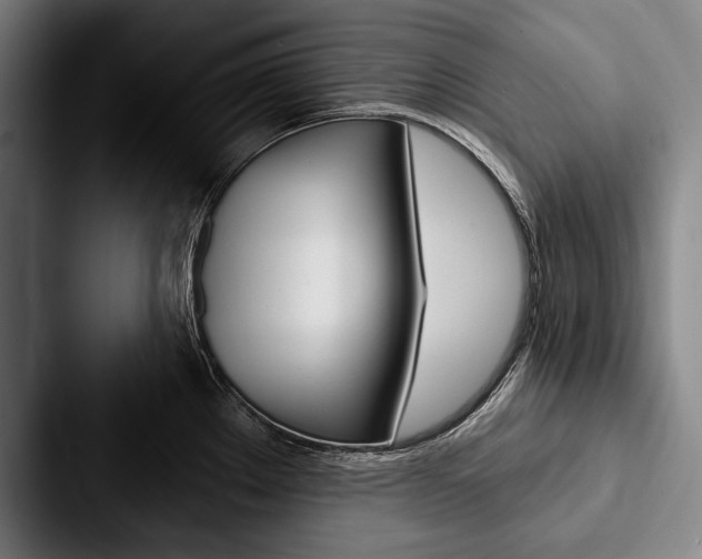 X0000088061289200705110906