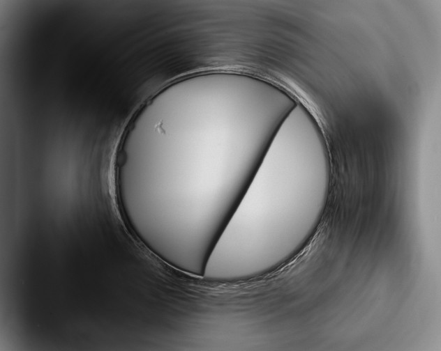 X0000088061291200705110906
