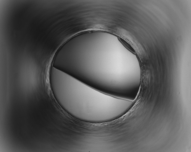 X0000088061292200705110906