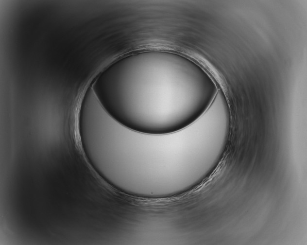 X0000088061293200705110906