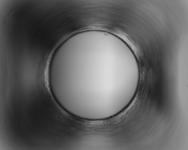 X0000088061294200705110906