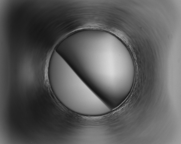 X0000088061296200705110906