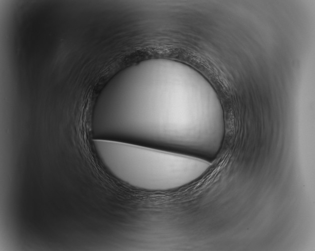 X0000088061297200705110905