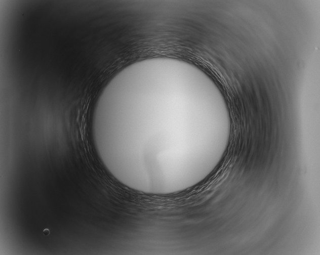 X0000088061298200705110905