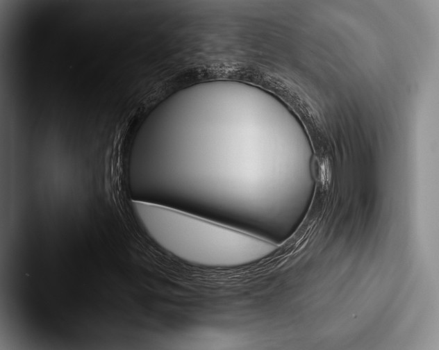 X0000088061299200705110905