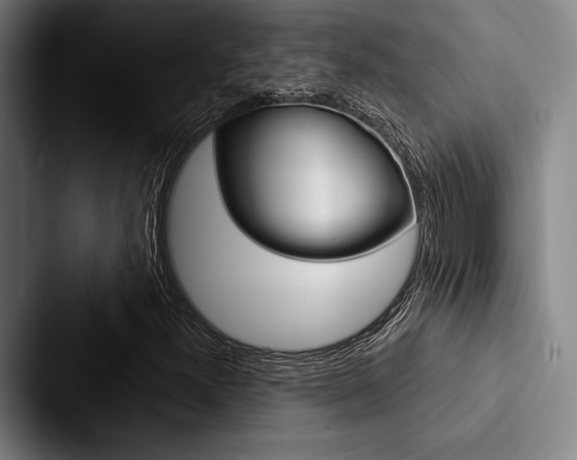 X0000088061300200705110905