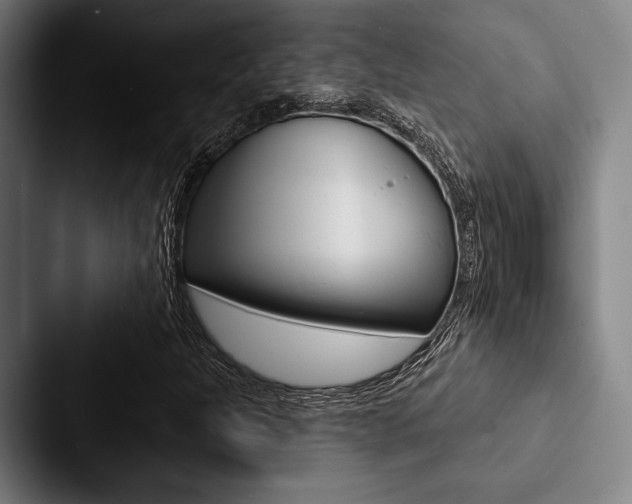 X0000088061301200705110905