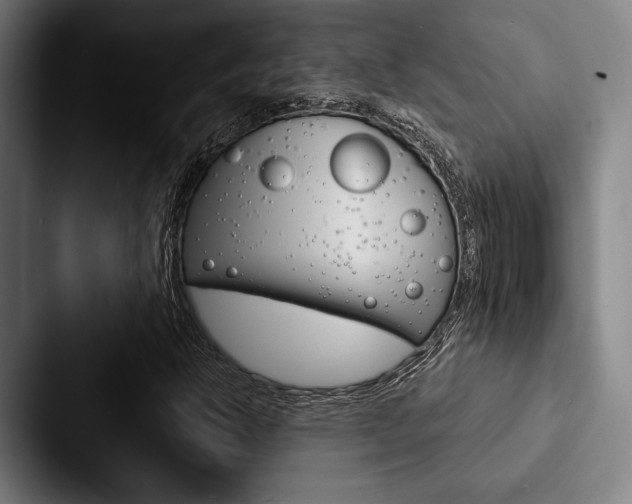 X0000088061302200705110905