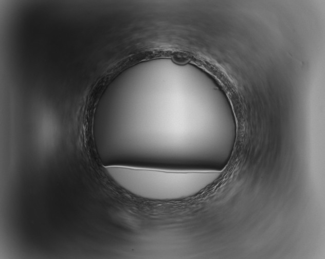 X0000088061303200705110905