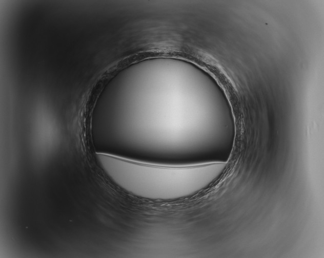 X0000088061304200705110905