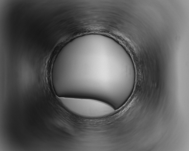 X0000088061306200705110905