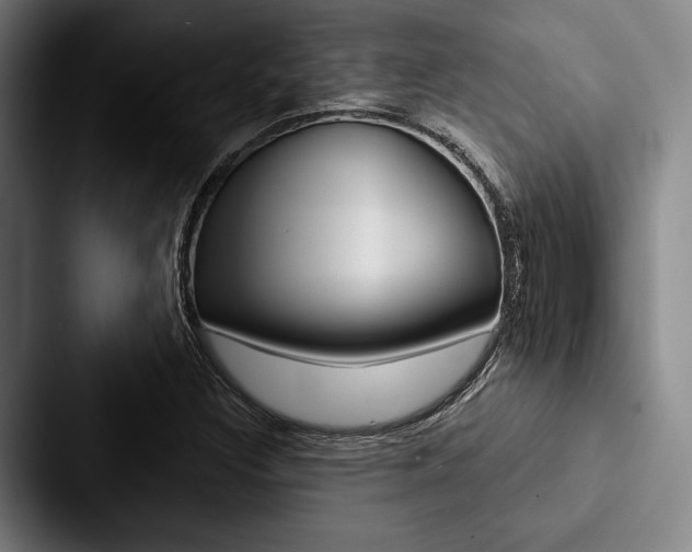 X0000088061308200705110906