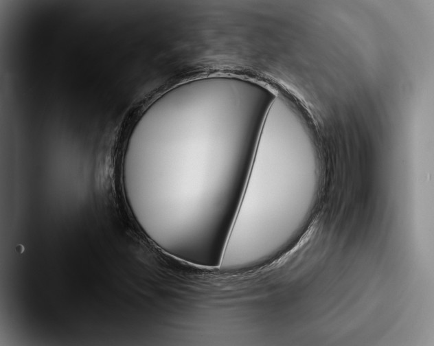 X0000088061309200705110906