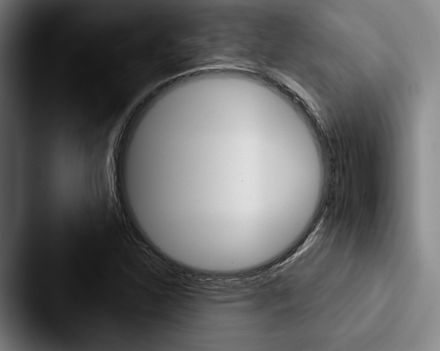 X0000088061310200705110906