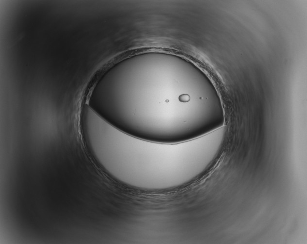 X0000088061312200705110906